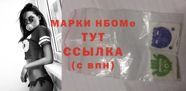 индика Вязьма