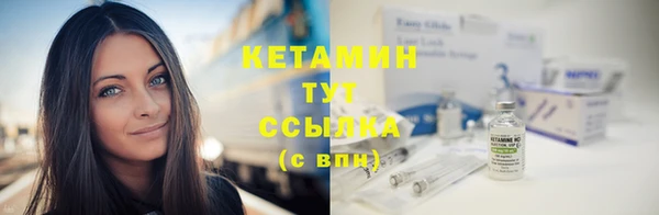 дживик Верхний Тагил