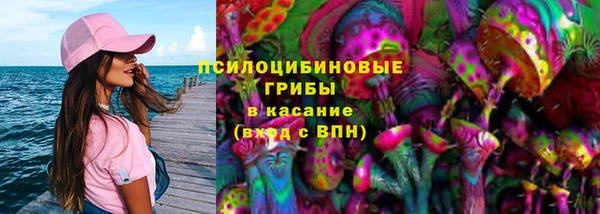 индика Вязьма