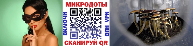 Псилоцибиновые грибы MAGIC MUSHROOMS  Иланский 