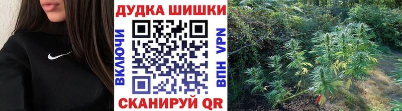 сколько стоит  мега tor  Шишки марихуана конопля  Иланский 